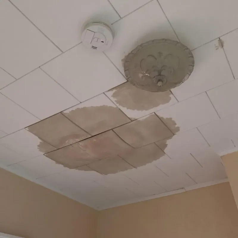 Ceiling Water Damage Repair in Jetmore, KS