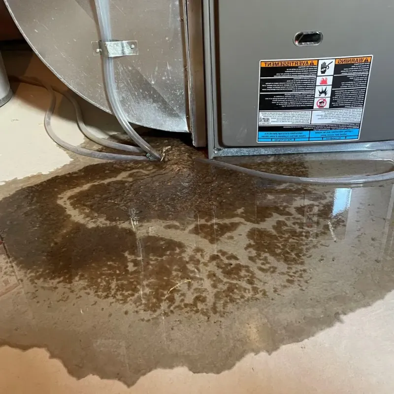 Pipe Burst and Leak Restoration in Jetmore, KS