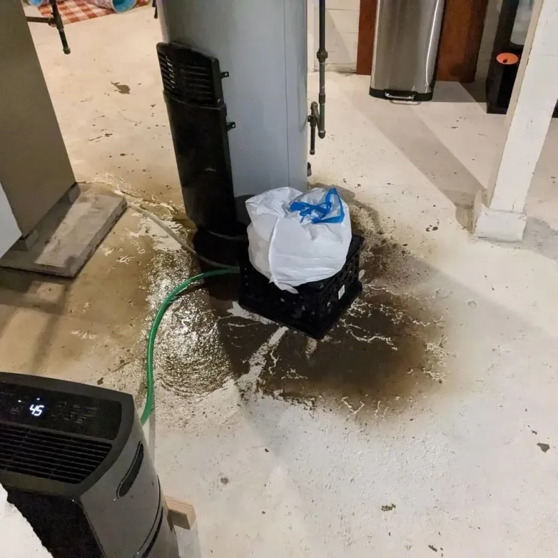 Sewage Backup Cleanup Service in Jetmore, KS